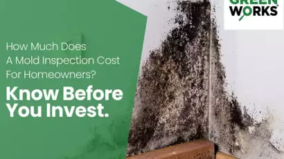 How Much Does A Mold Inspection Cost For Homeowners? Know Before You Invest