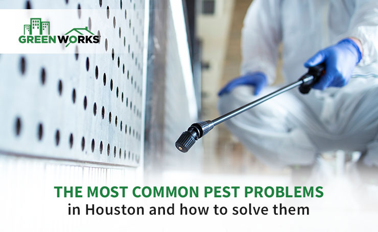 Pest Control Houston