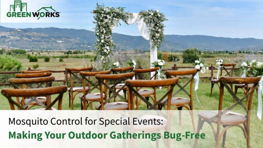 Mosquito Control for Special Events: Making Your Outdoor Gatherings Bug-Free