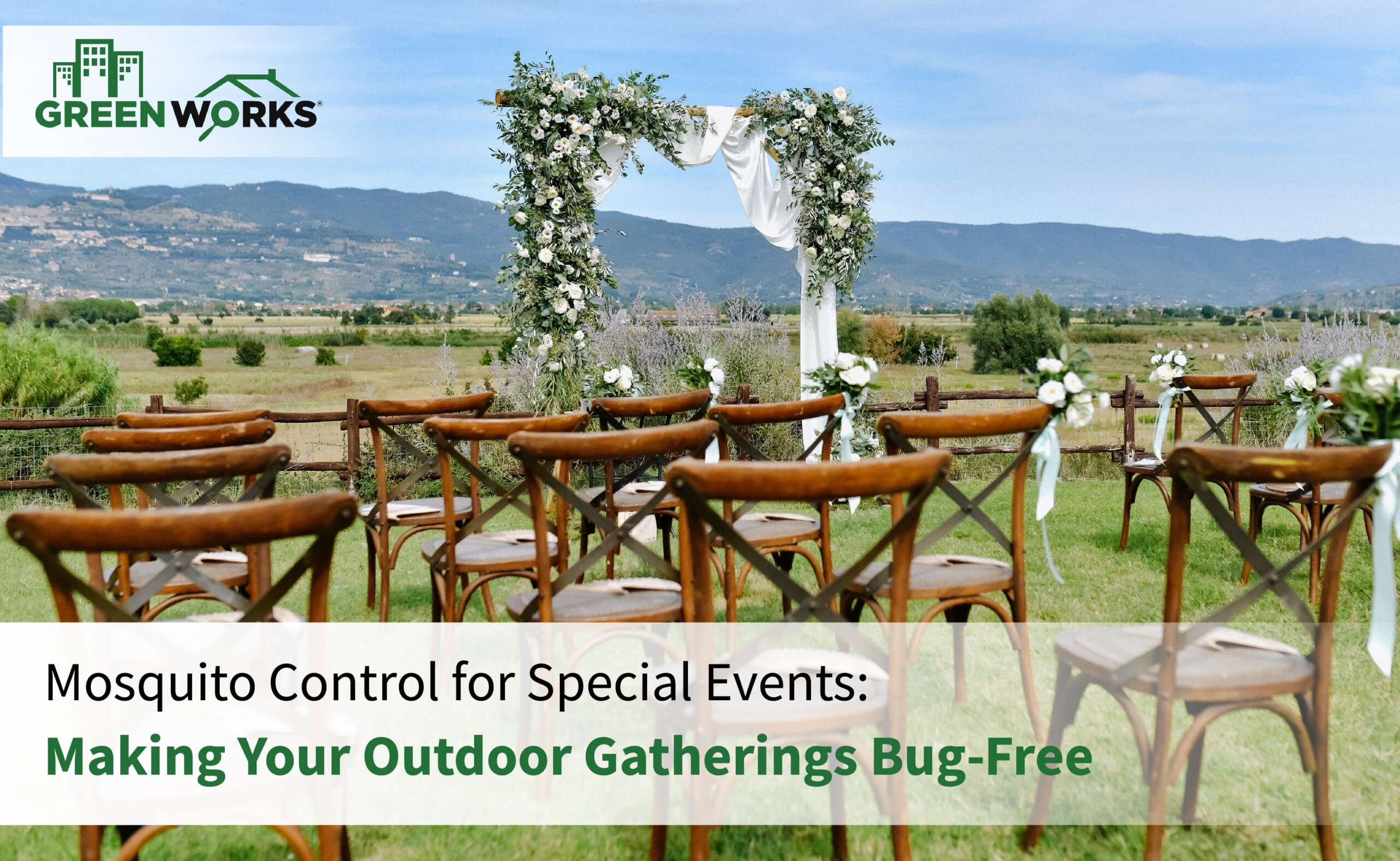Mosquito Control for Special Events: Making Your Outdoor Gatherings Bug-Free