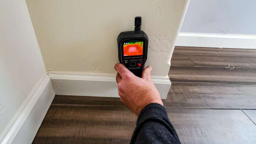 Signs Your Home Requires Professional Mold Assessment