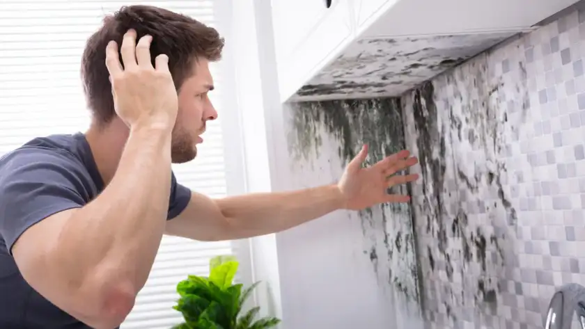 What Causes Mold Growth in Houston, TX