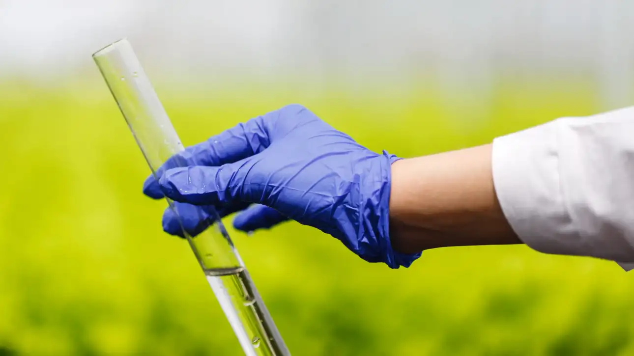 Water quality assessments