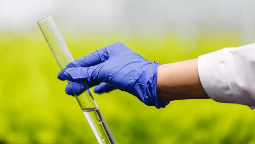 The Role of Water Quality Assessments in Environmental Safety